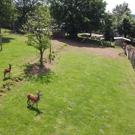 Σαλέ Le Gagnage 31 Pers- Malmedy, Rustique, Vue, Wellness *