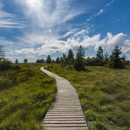Σαλέ Le Gagnage 31 Pers- Malmedy, Rustique, Vue, Wellness