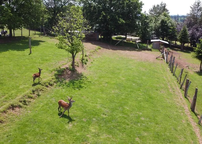 Chalet Le Gagnage 31 Pers- Malmedy, Rustique, Vue, Wellness *