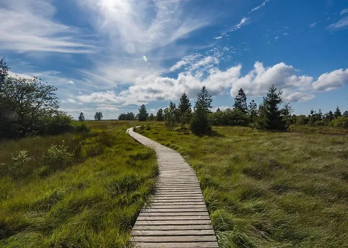 Chalet Le Gagnage 31 Pers- Malmedy, Rustique, Vue, Wellness